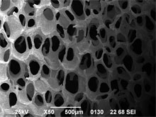 金属多孔質体の微構造写真(2)