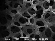 金属多孔質体の微構造写真(1)